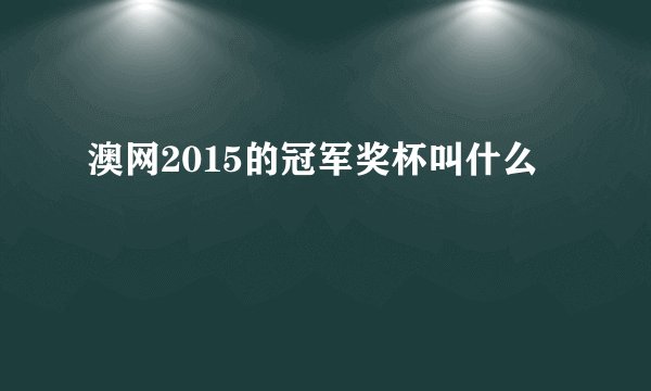 澳网2015的冠军奖杯叫什么