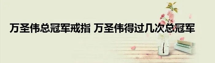 万圣伟总冠军戒指 万圣伟得过几次总冠军