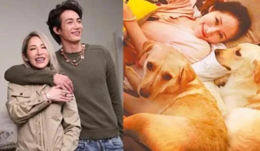 台媒称萧亚轩黄皓被狗咬伤，目前两人状况如何了？