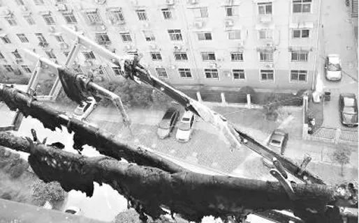 高空烟头点燃小区画面：具体经过详情结果怎样