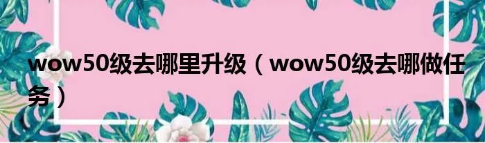 wow50级去哪里升级（wow50级去哪做任务）