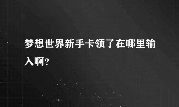 梦想世界新手卡领了在哪里输入啊？
