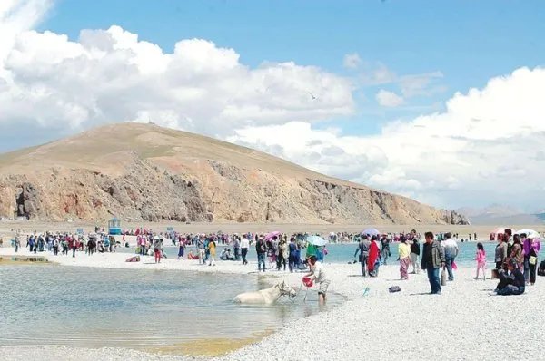 纳木错景区游客买票被侮辱一热议,该景区对此有何回应?