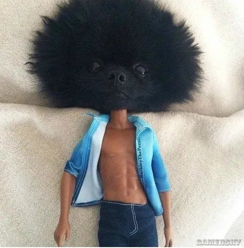 有一个挺翘臀部的好处 最新囧图踩点送达