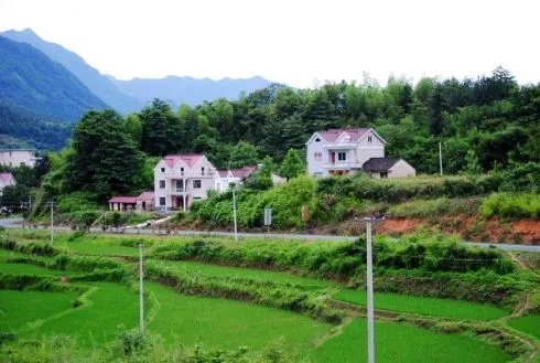 17岁女孩举报父母逼婚错过高中，农村这种现象有多普遍？