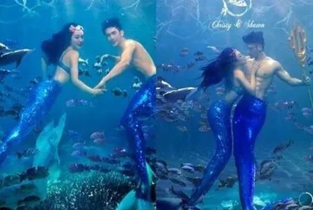 钟丽缇喜帖曝光 “人鱼夫妇”上演海洋之恋