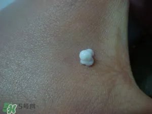 The Body Shop 维他命E眼霜 The Body Shop 维他命E眼霜价格