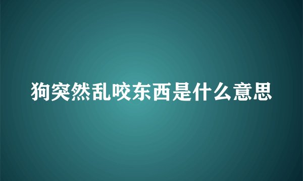 狗突然乱咬东西是什么意思