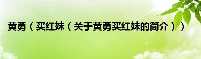 黄勇（买红妹（关于黄勇买红妹的简介））