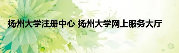 扬州大学注册中心 扬州大学网上服务大厅
