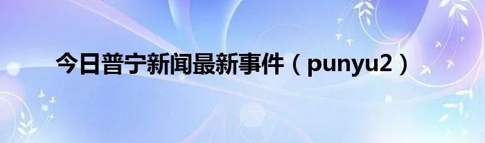 今日普宁新闻最新事件（punyu2）