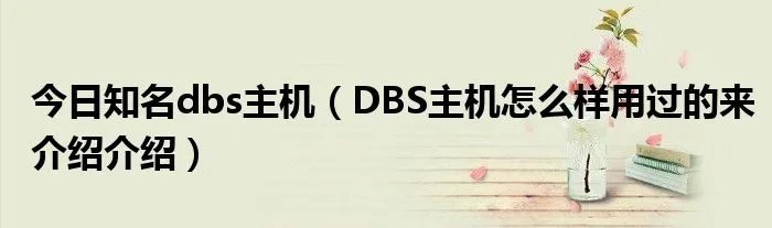 今日知名dbs主机（DBS主机怎么样用过的来介绍介绍）