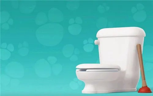 坐厕堵塞怎么办  8种处理方法让你一学就会