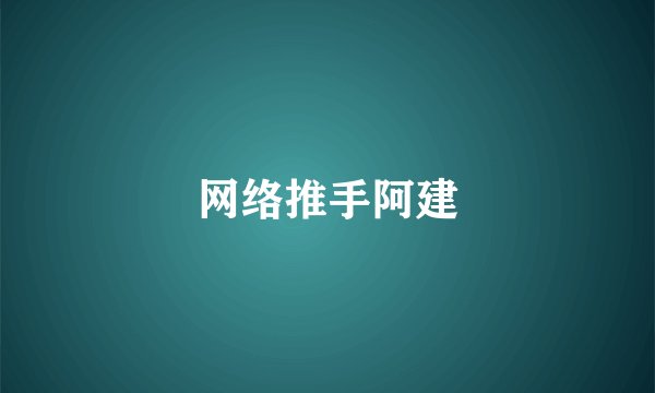 网络推手阿建