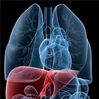 治疗丙肝去哪里