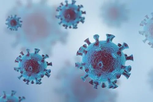 31省区市新增12例确诊均为境外输入，我们该如何做好防范？