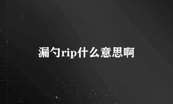 漏勺rip什么意思啊