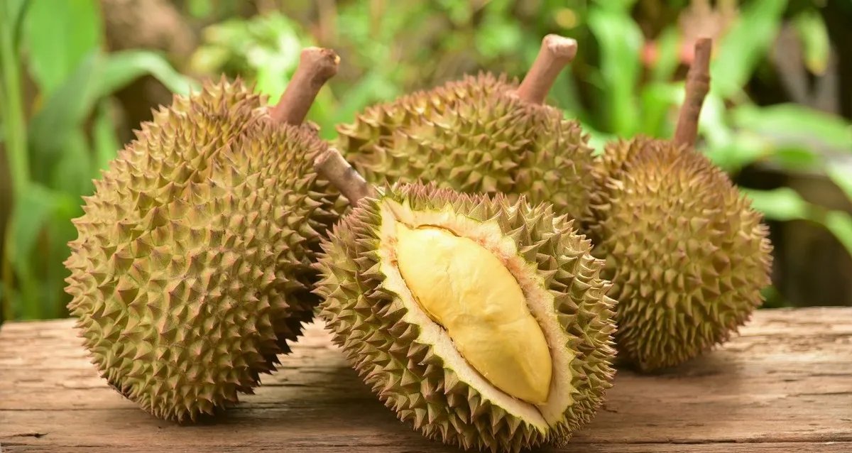 榴莲贵不是没有原因的，榴莲为何会这么贵？