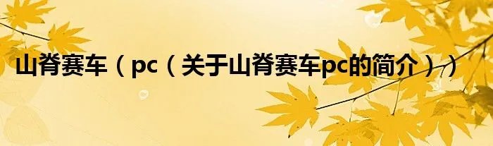 山脊赛车（pc（关于山脊赛车pc的简介））