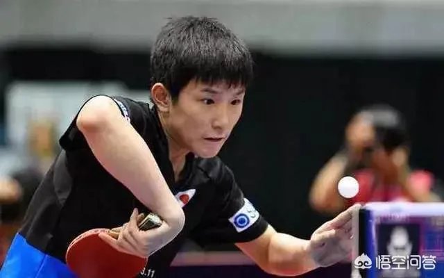 樊振东输张本智和