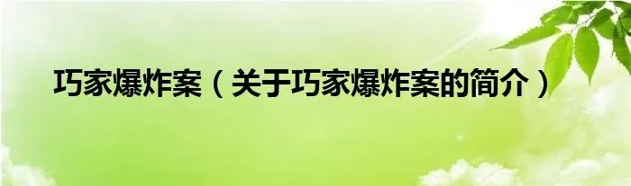 巧家爆炸案（关于巧家爆炸案的简介）