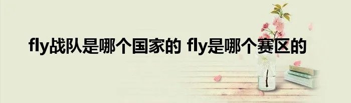 fly战队是哪个国家的 fly是哪个赛区的