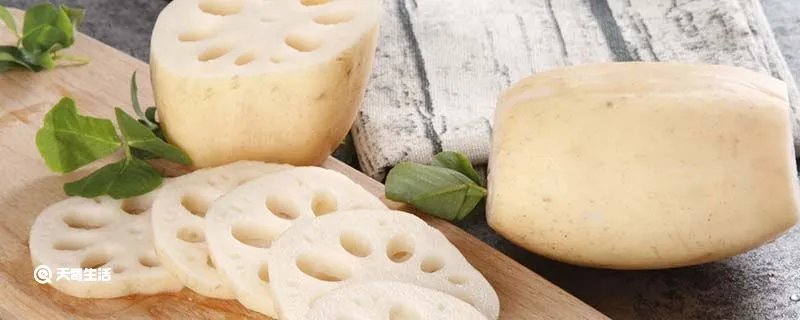 藕是莲的什么部位