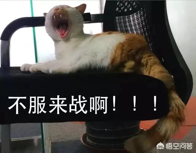 哪里的美术画室比较好？