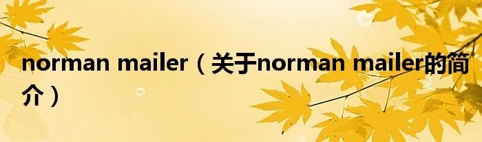 norman mailer（关于norman mailer的简介）