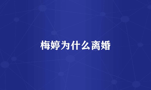 梅婷为什么离婚