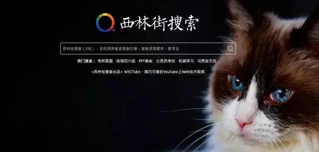 你们的小电影都是在哪看的