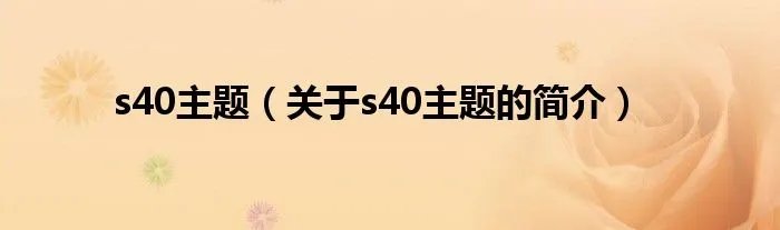 s40主题（关于s40主题的简介）