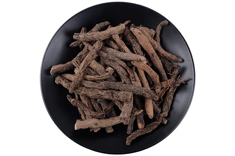 野棕根草药图片