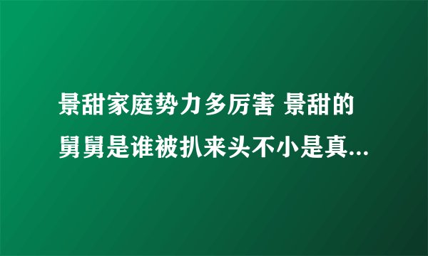 景甜家庭势力多厉害 景甜的舅舅是谁被扒来头不小是真的吗-飞外