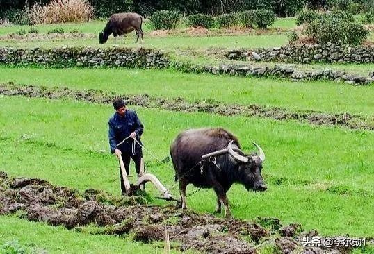 现在70岁左右的人算不算是老年人？