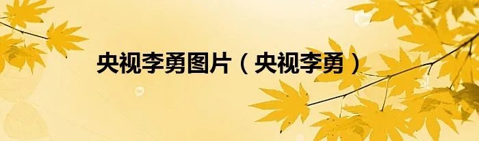 央视李勇图片（央视李勇）