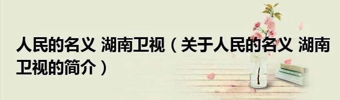 人民的名义 湖南卫视(关于人民的名义 湖南卫视的简介)