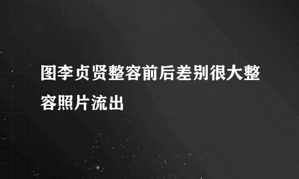 图李贞贤整容前后差别很大整容照片流出