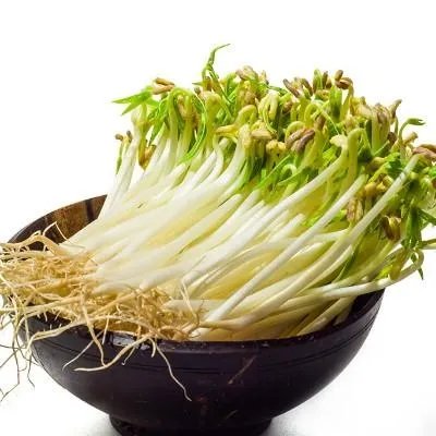 臻好大肚子减肥茶