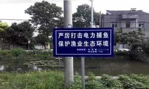 扶贫干部制止非法电鱼被刺身亡,事发时的具体细节是什么?