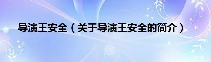 导演王安全（关于导演王安全的简介）