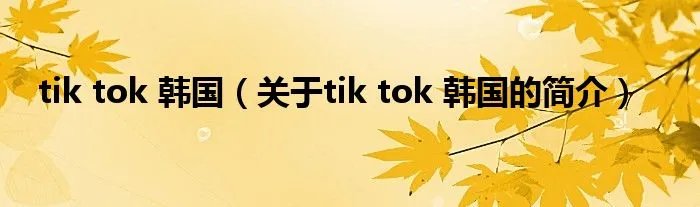 tik tok 韩国（关于tik tok 韩国的简介）