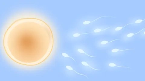 男性精子检查标准