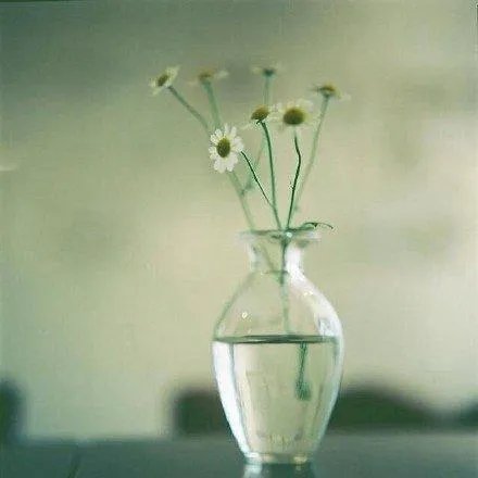 黑格尔美学是不是很难懂?