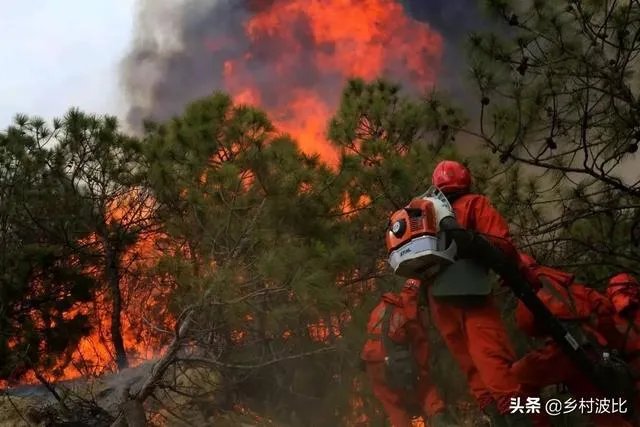 西昌山火为什么会死这么多人?
