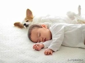 5岁的女儿不爱睡午觉怎么办？