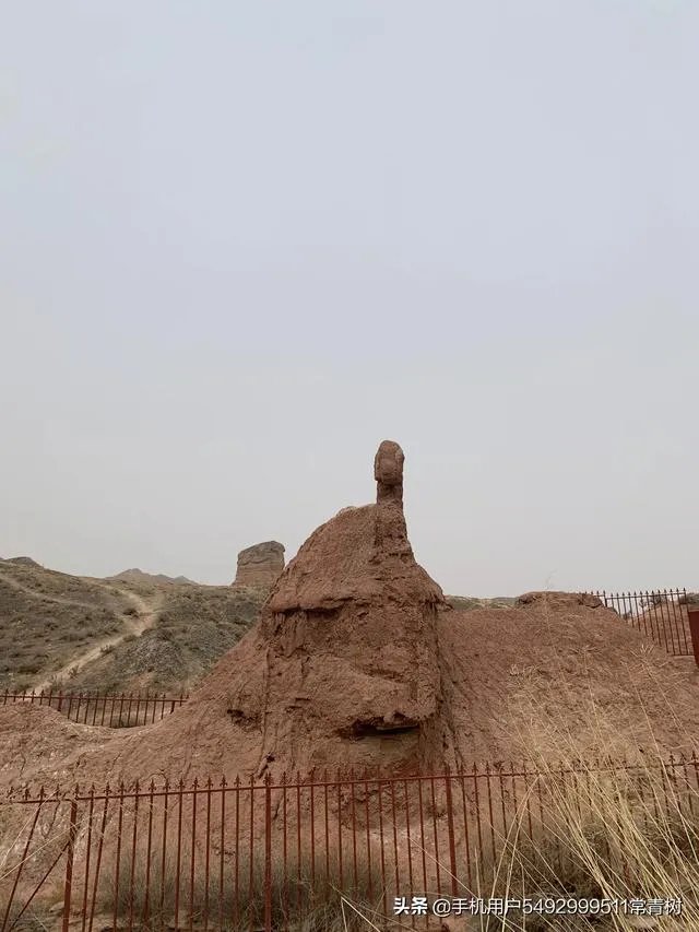 猪肉价格连续10周下降,为何市场上猪肉价格没变动?