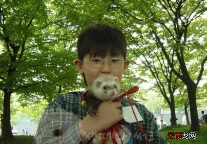 朴灿烈人生三个阶段 exo灿烈整容前照片