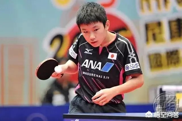 樊振东输张本智和