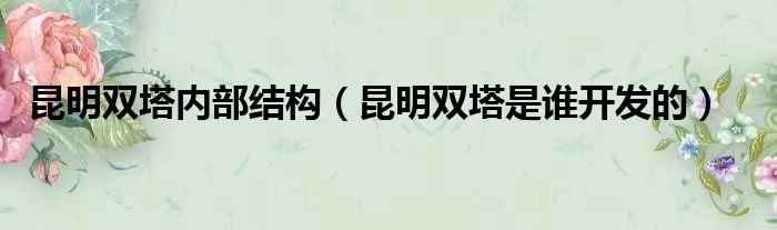昆明双塔内部结构（昆明双塔是谁开发的）